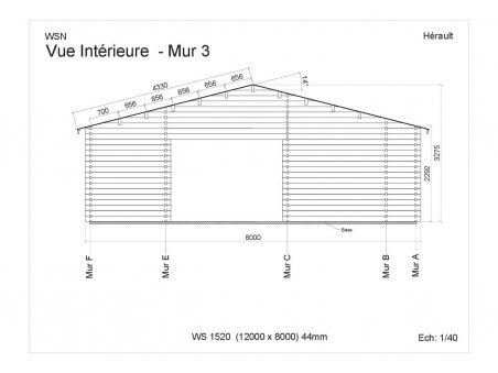 Chalet en bois Herault 96m2 WS1520 par WSN