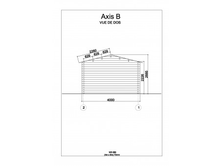 Garage en bois 24m² (4000-6000-70mm) WS689