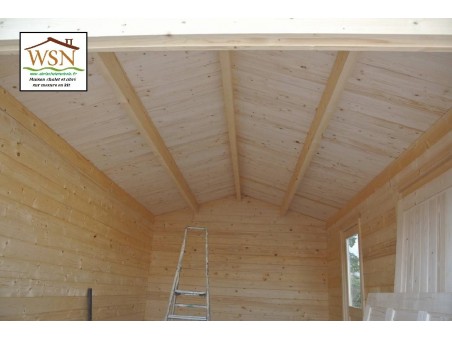 Garage en bois 30m² (5000X6000-44mm) WS693