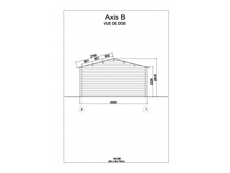 Garage en bois 30m² ( 5000X6000-70mm ) WS695